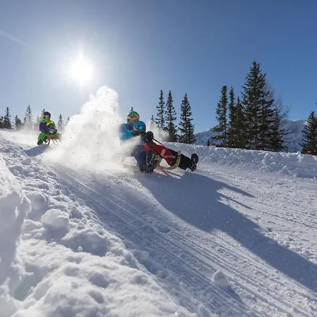 Haus Vogelweide Apartamento *