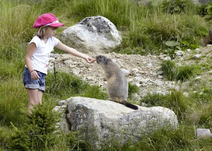 Haus Vogelweide Апартаменты Серфаус