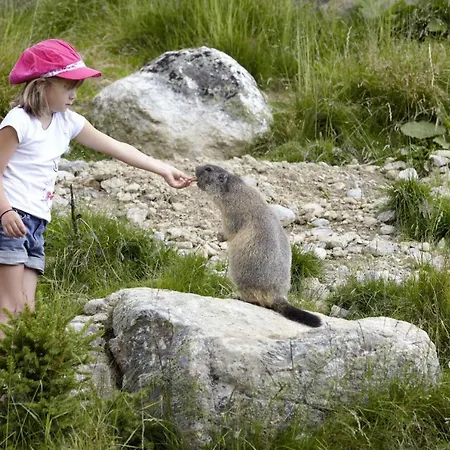 Haus Vogelweide Apartamento Serfaus