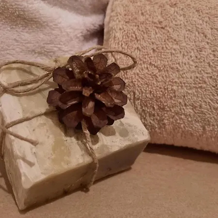 Haus Vogelweide * Serfaus