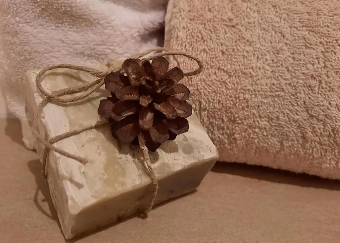 Haus Vogelweide * Serfaus